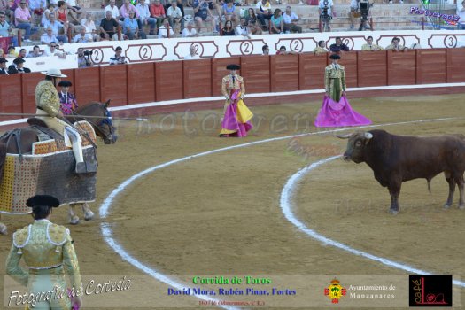 Corrida de toros en Manzanares