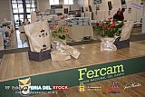 Inauguración 16ª edición de la Feria del Stock de Manzanares