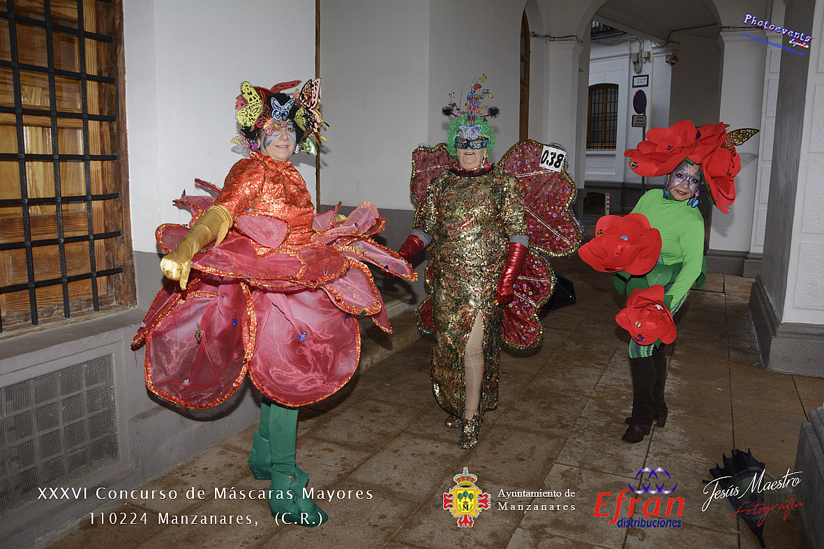 XXXVI Concurso de Mascaras Mayores con motivo de los Carnavales 2024 en Manzanares