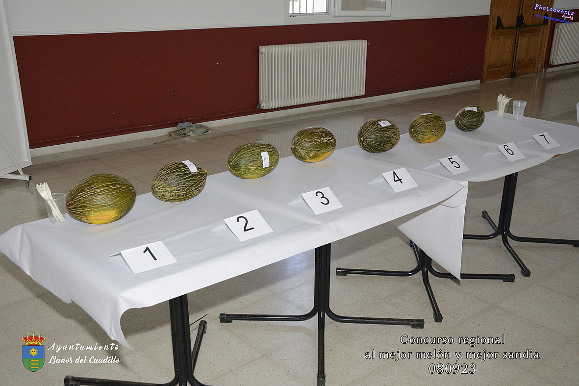 Concurso regional al mejor melón y mejor sandia 2023 en Llanos del Caudillo 