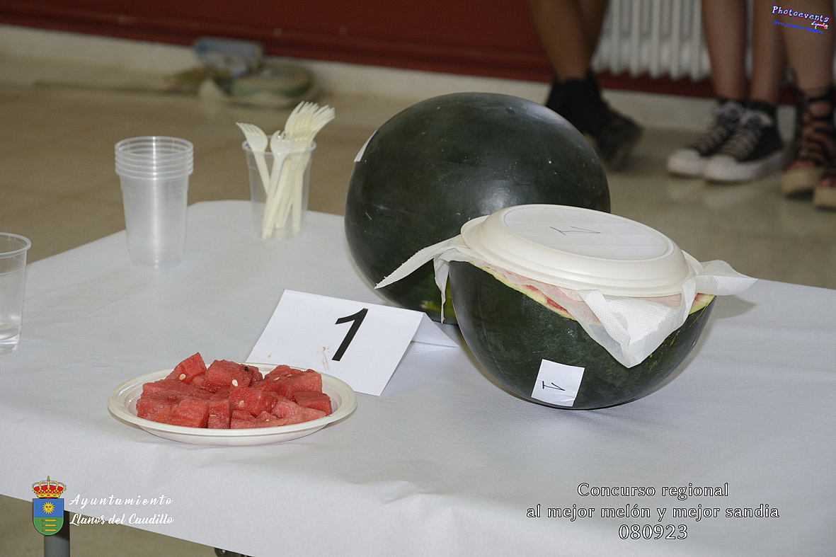Concurso regional al mejor melón y mejor sandia 2023 en Llanos del Caudillo 