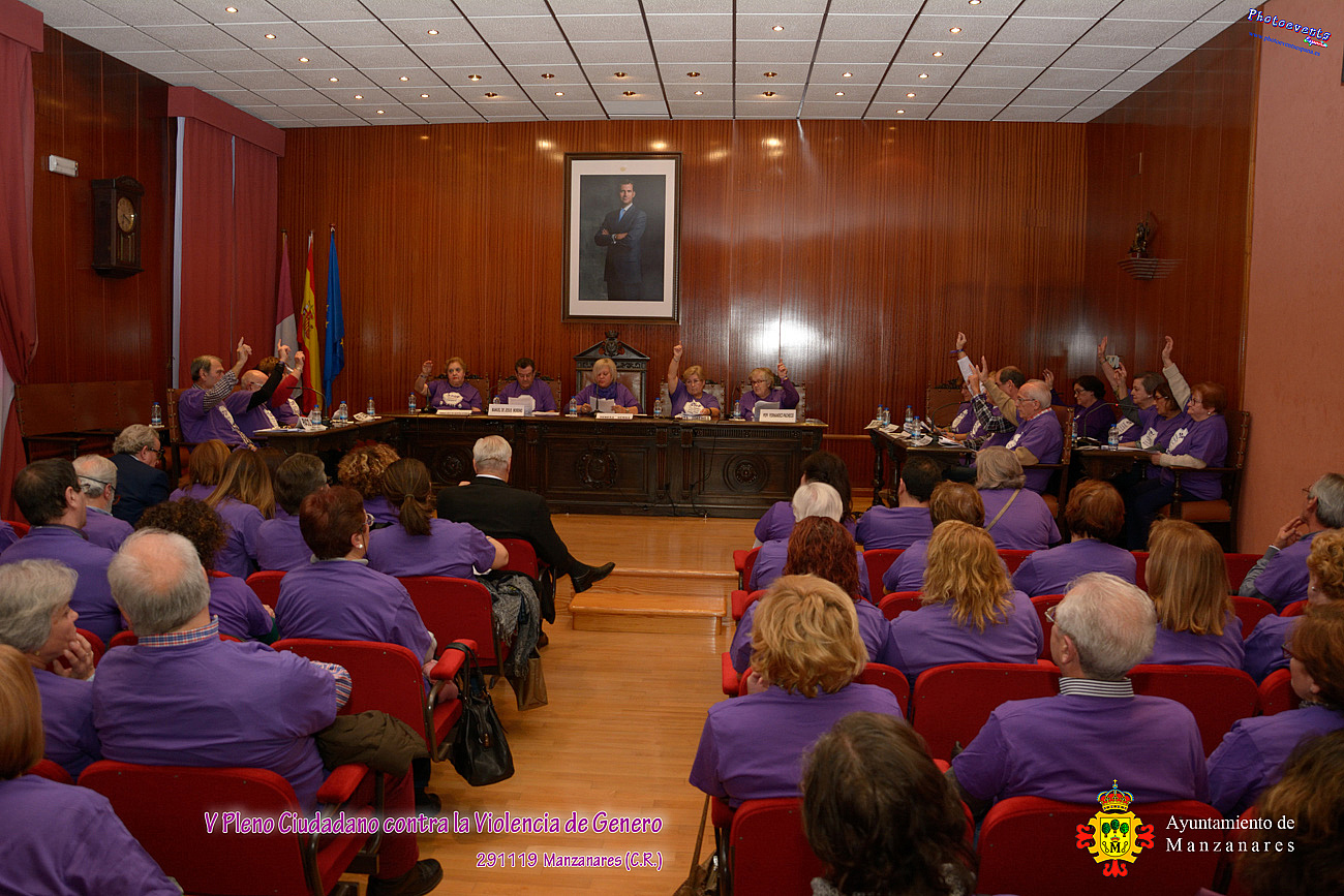 V Pleno Ciudadano contra la violencia de genero en Manzanares