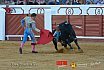Gran corrida de Toros en Manzanares 