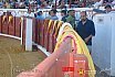 Gran corrida de Toros en Manzanares 