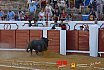 Gran corrida de Toros en Manzanares 