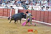 Gran corrida de Toros en Manzanares 