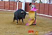 Gran corrida de Toros en Manzanares 