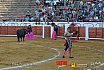 Gran corrida de Toros en Manzanares 