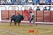 Gran corrida de Toros en Manzanares 