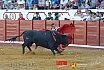 Gran corrida de Toros en Manzanares 