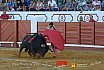 Gran corrida de Toros en Manzanares 