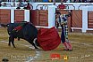 Gran corrida de Toros en Manzanares 