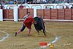 Gran corrida de Toros en Manzanares 