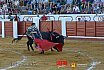 Gran corrida de Toros en Manzanares 