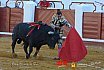 Gran corrida de Toros en Manzanares 