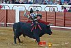 Gran corrida de Toros en Manzanares 