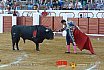 Gran corrida de Toros en Manzanares 