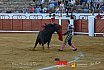 Gran corrida de Toros en Manzanares 