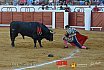 Gran corrida de Toros en Manzanares 