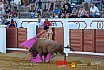Gran corrida de Toros en Manzanares 