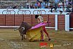 Gran corrida de Toros en Manzanares 