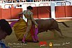 Gran corrida de Toros en Manzanares 