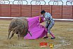 Gran corrida de Toros en Manzanares 