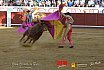 Gran corrida de Toros en Manzanares 