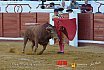 Gran corrida de Toros en Manzanares 