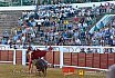 Gran corrida de Toros en Manzanares 