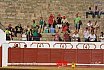Gran corrida de Toros en Manzanares 