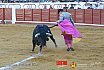 Gran corrida de Toros en Manzanares 