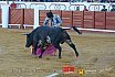 Gran corrida de Toros en Manzanares 