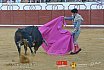 Gran corrida de Toros en Manzanares 