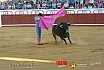 Gran corrida de Toros en Manzanares 