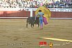 Gran corrida de Toros en Manzanares 