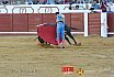 Gran corrida de Toros en Manzanares 