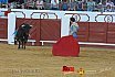 Gran corrida de Toros en Manzanares 