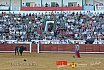 Gran corrida de Toros en Manzanares 