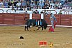 Gran corrida de Toros en Manzanares 