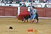 Gran corrida de Toros en Manzanares 