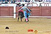 Gran corrida de Toros en Manzanares 