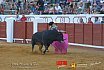 Gran corrida de Toros en Manzanares 