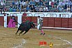 Gran corrida de Toros en Manzanares 