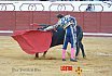 Gran corrida de Toros en Manzanares 