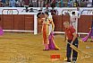 Gran corrida de Toros en Manzanares 
