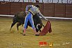 Gran corrida de Toros en Manzanares 