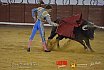 Gran corrida de Toros en Manzanares 