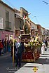 Procesión de las Palmas en Manzanares