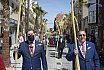 Procesión de Las Palmas, Manzanares 100422